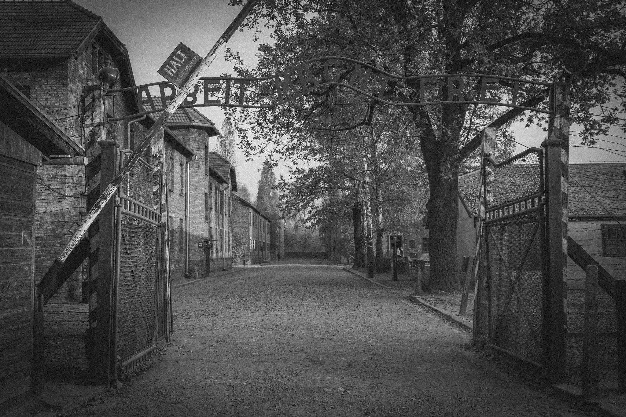 Auschwitz 1